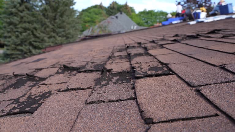 Best Asphalt Shingles Roofing  in Eagar, AZ